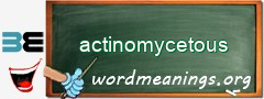 WordMeaning blackboard for actinomycetous